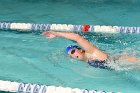 Swimming vs Bentley  Wheaton College Swimming & Diving vs Bentley College. - Photo by Keith Nordstrom : Wheaton, Swimming & Diving